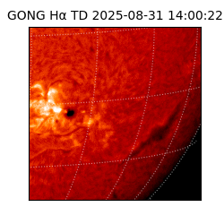 gong - 2025-08-31T14:00:22