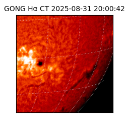 gong - 2025-08-31T20:00:42