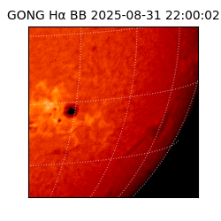 gong - 2025-08-31T22:00:02