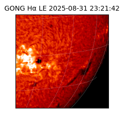 gong - 2025-08-31T23:21:42