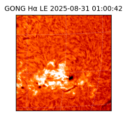 gong - 2025-08-31T01:00:42