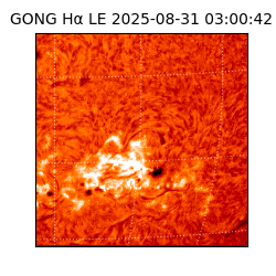 gong - 2025-08-31T03:00:42