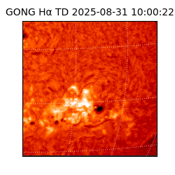 gong - 2025-08-31T10:00:22