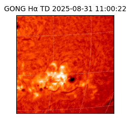 gong - 2025-08-31T11:00:22