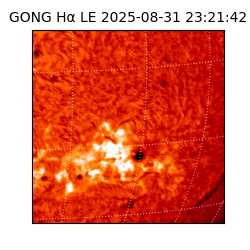 gong - 2025-08-31T23:21:42