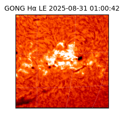 gong - 2025-08-31T01:00:42