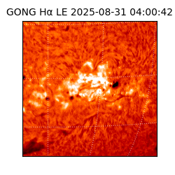 gong - 2025-08-31T04:00:42