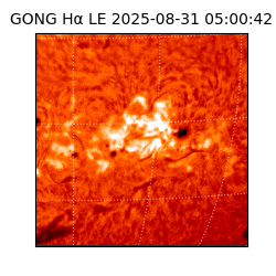 gong - 2025-08-31T05:00:42