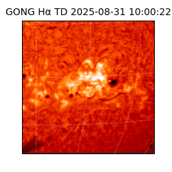 gong - 2025-08-31T10:00:22