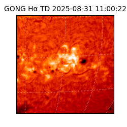 gong - 2025-08-31T11:00:22