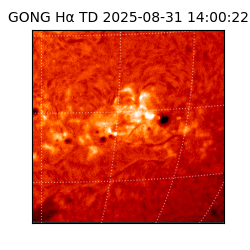 gong - 2025-08-31T14:00:22
