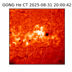 gong - 2025-08-31T20:00:42