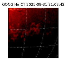 gong - 2025-08-31T21:03:42