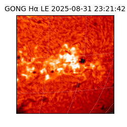 gong - 2025-08-31T23:21:42