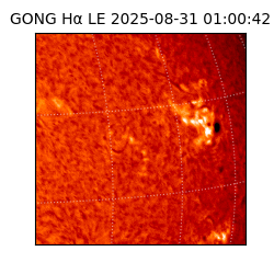 gong - 2025-08-31T01:00:42