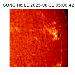 gong - 2025-08-31T05:00:42