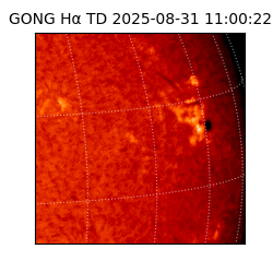 gong - 2025-08-31T11:00:22