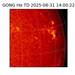 gong - 2025-08-31T14:00:22
