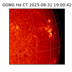 gong - 2025-08-31T19:00:42