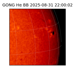 gong - 2025-08-31T22:00:02