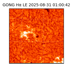 gong - 2025-08-31T01:00:42