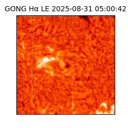 gong - 2025-08-31T05:00:42