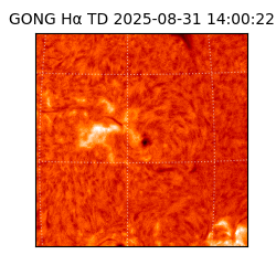 gong - 2025-08-31T14:00:22