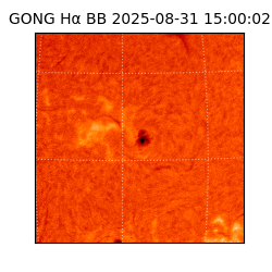 gong - 2025-08-31T15:00:02