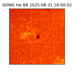 gong - 2025-08-31T16:00:02
