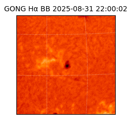 gong - 2025-08-31T22:00:02