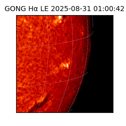gong - 2025-08-31T01:00:42