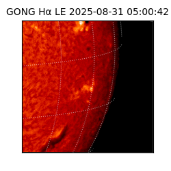 gong - 2025-08-31T05:00:42
