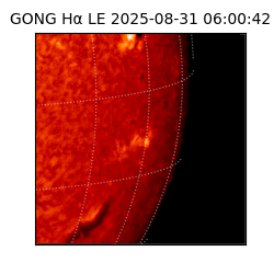 gong - 2025-08-31T06:00:42