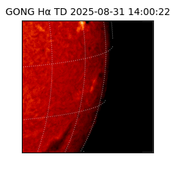 gong - 2025-08-31T14:00:22