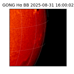 gong - 2025-08-31T16:00:02