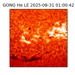gong - 2025-08-31T01:00:42