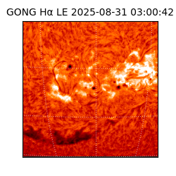 gong - 2025-08-31T03:00:42
