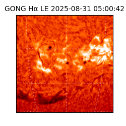 gong - 2025-08-31T05:00:42