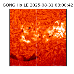 gong - 2025-08-31T08:00:42