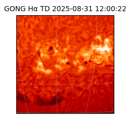 gong - 2025-08-31T12:00:22