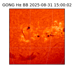 gong - 2025-08-31T15:00:02