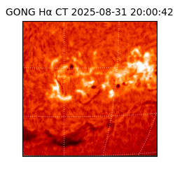 gong - 2025-08-31T20:00:42
