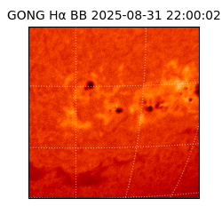 gong - 2025-08-31T22:00:02