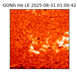 gong - 2025-08-31T01:00:42