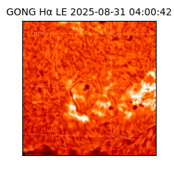 gong - 2025-08-31T04:00:42
