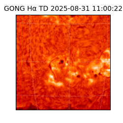 gong - 2025-08-31T11:00:22