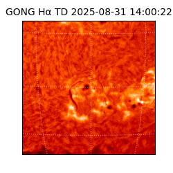 gong - 2025-08-31T14:00:22