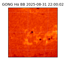 gong - 2025-08-31T22:00:02