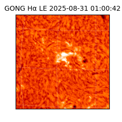 gong - 2025-08-31T01:00:42