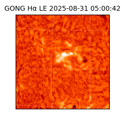 gong - 2025-08-31T05:00:42